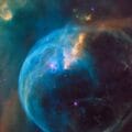 Citazione di oggi - 11/05/2026